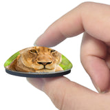 Cape May County Zoo New Jersey USA 3D Fridge Magnet Crystal Glass