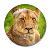 Cape May County Zoo New Jersey USA 3D Fridge Magnet Crystal Glass