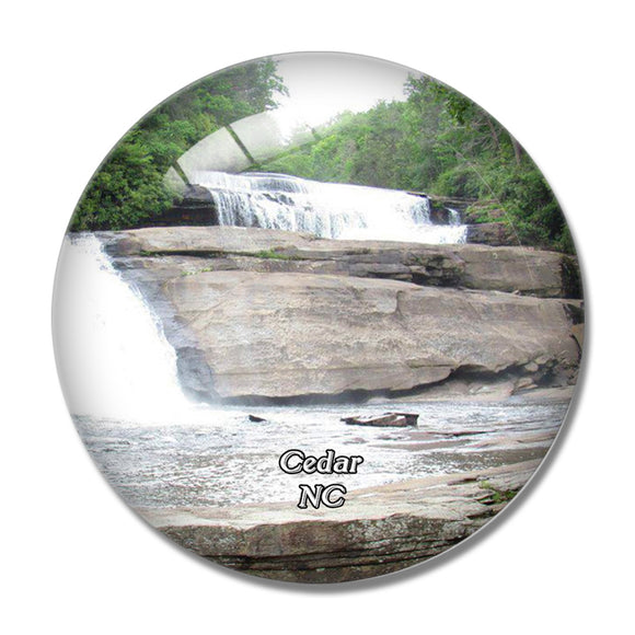 Cedar Mountain DuPont Forest North Carolina USA 3D Fridge Magnet Crystal Glass