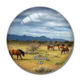 Chandler Equestrian Center Arizona USA 3D Fridge Magnet Crystal Glass