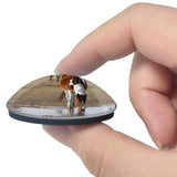 Chincoteague Island Virginia USA 3D Fridge Magnet Crystal Glass