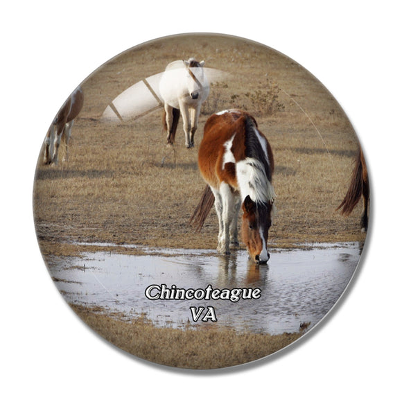 Chincoteague Island Virginia USA 3D Fridge Magnet Crystal Glass