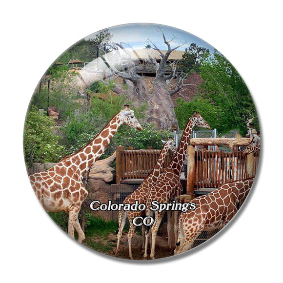 Colorado Springs Zoo USA 3D Fridge Magnet Crystal Glass