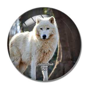 Columbia Lakota Wolf New Jersey USA 3D Fridge Magnet Crystal Glass