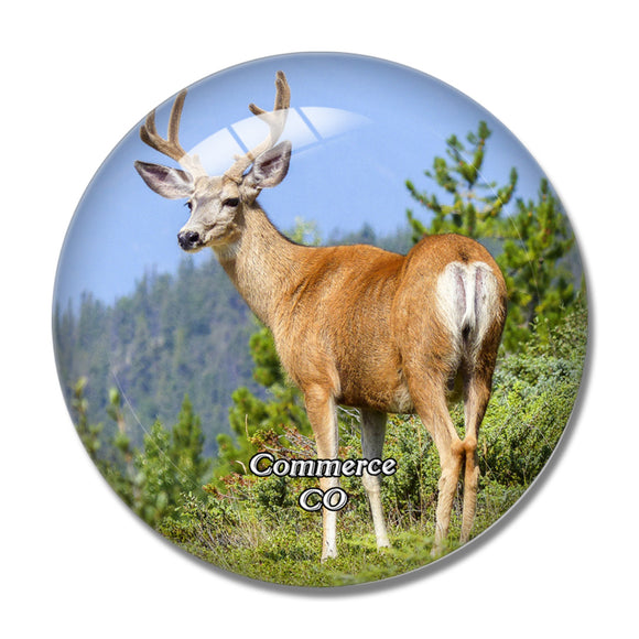 Commerce  National Wildlife Park Colorado USA 3D Fridge Magnet Crystal Glass