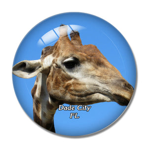 Dade  Giraffe Florida USA 3D Fridge Magnet Crystal Glass