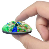 Decatur Peacock Illinois USA 3D Fridge Magnet Crystal Glass