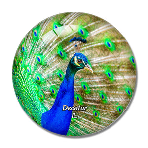 Decatur Peacock Illinois USA 3D Fridge Magnet Crystal Glass