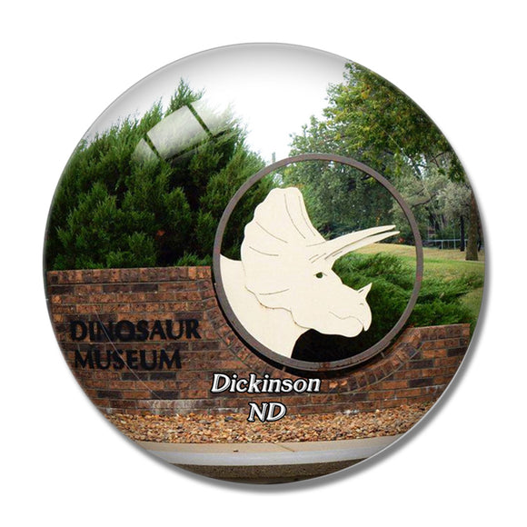 Dickinson Museum North Dakota USA 3D Fridge Magnet Crystal Glass