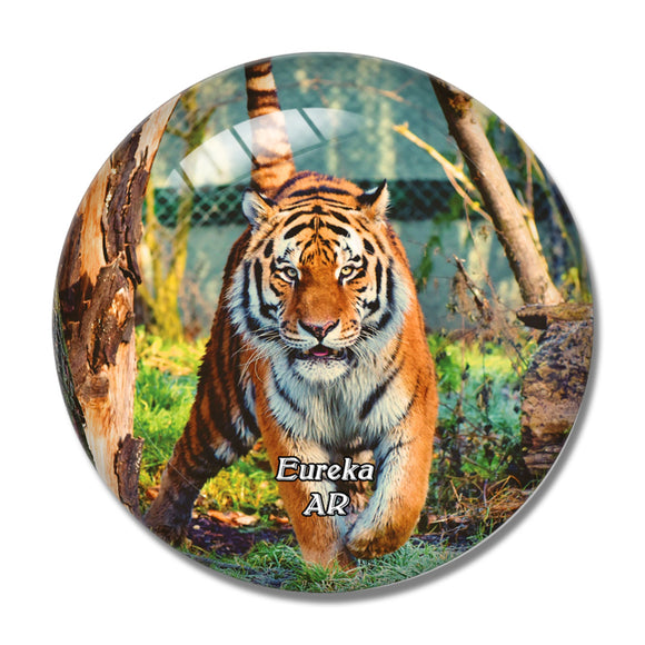 Eureka Springs Zoo Arkansas USA 3D Fridge Magnet Crystal Glass