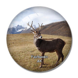 Fairbanks Reindeer Ranch Alaska USA 3D Fridge Magnet Crystal Glass