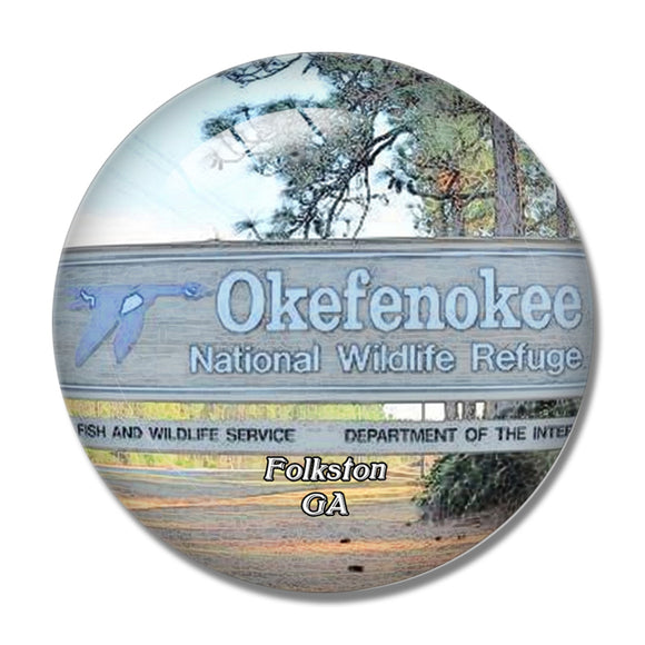 Folkston Wildlife Georgia USA 3D Fridge Magnet Crystal Glass