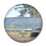 Folkston Wildlife Georgia USA 3D Fridge Magnet Crystal Glass