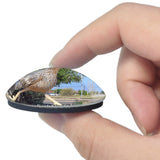 Fort Stockton Giant Road Runner Texas USA 3D Fridge Magnet Crystal Glass