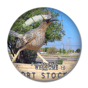 Fort Stockton Giant Road Runner Texas USA 3D Fridge Magnet Crystal Glass