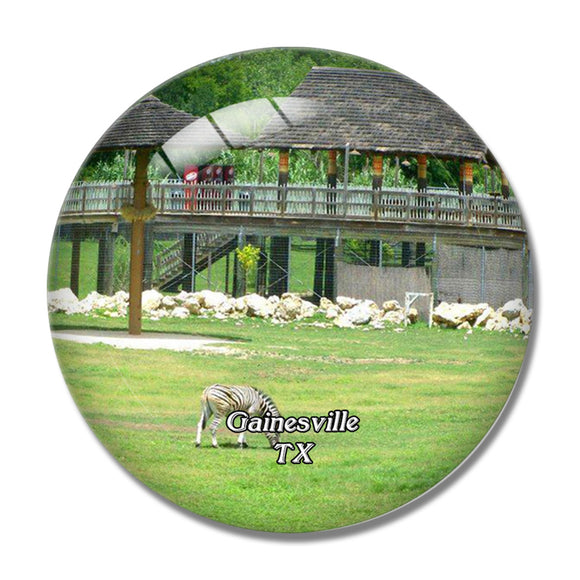 Gainesville Frank Buck Zoo Texas USA 3D Fridge Magnet Crystal Glass