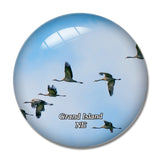 Grand Island Crane Nebraska USA 3D Fridge Magnet Crystal Glass