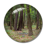 Grayling State Park Michigan USA 3D Fridge Magnet Crystal Glass