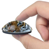 Hattiesburg Zoo Mississippi USA 3D Fridge Magnet Crystal Glass