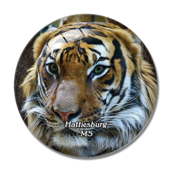 Hattiesburg Zoo Mississippi USA 3D Fridge Magnet Crystal Glass