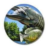 Hayward Fish Park Wisconsin USA 3D Fridge Magnet Crystal Glass