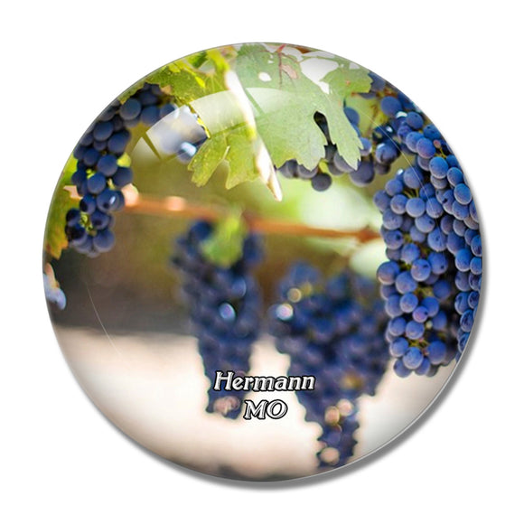 Hermann Vineyard Missouri USA 3D Fridge Magnet Crystal Glass