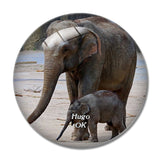 Hugo Elephant Oklahoma USA 3D Fridge Magnet Crystal Glass