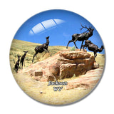 Jackson Wildlife Art Museum Wyoming USA 3D Fridge Magnet Crystal Glass