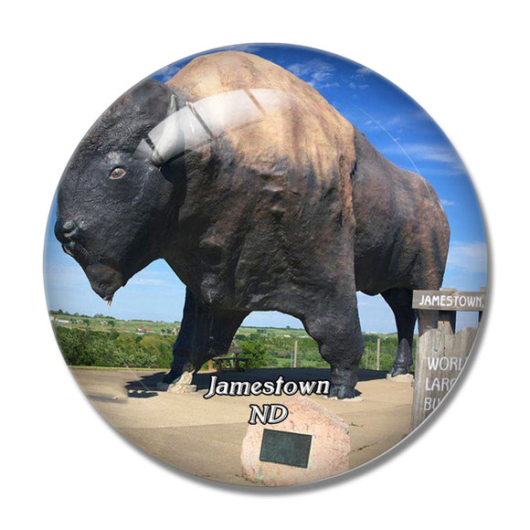 Jamestown Buffalo Museum North Dakota USA 3D Fridge Magnet Crystal Glass
