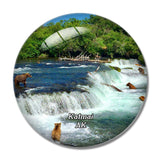 Katmai Park Brooks Falls ALASKA USA 3D Fridge Magnet Crystal Glass