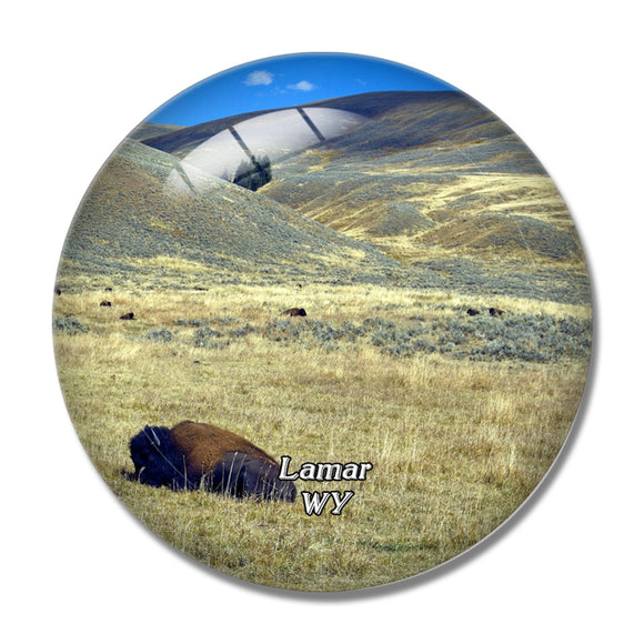 Lamar Valley Wyoming USA 3D Fridge Magnet Crystal Glass