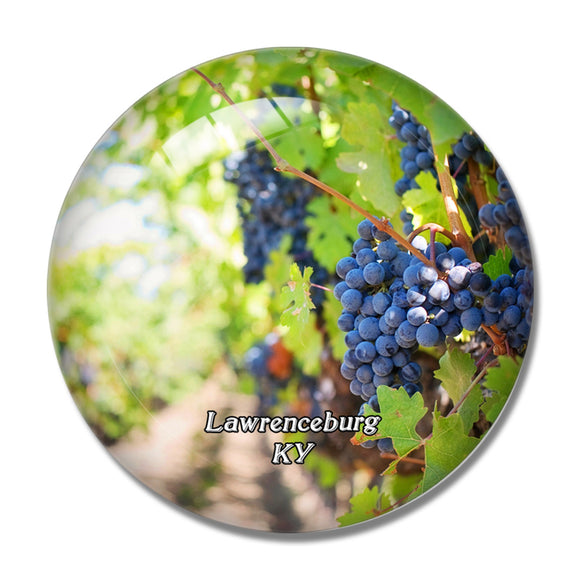 Lawrenceburg Winery Kentucky USA 3D Fridge Magnet Crystal Glass