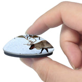 Leavenworth Reindeer Farm Washington USA 3D Fridge Magnet Crystal Glass