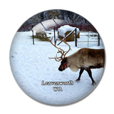Leavenworth Reindeer Farm Washington USA 3D Fridge Magnet Crystal Glass
