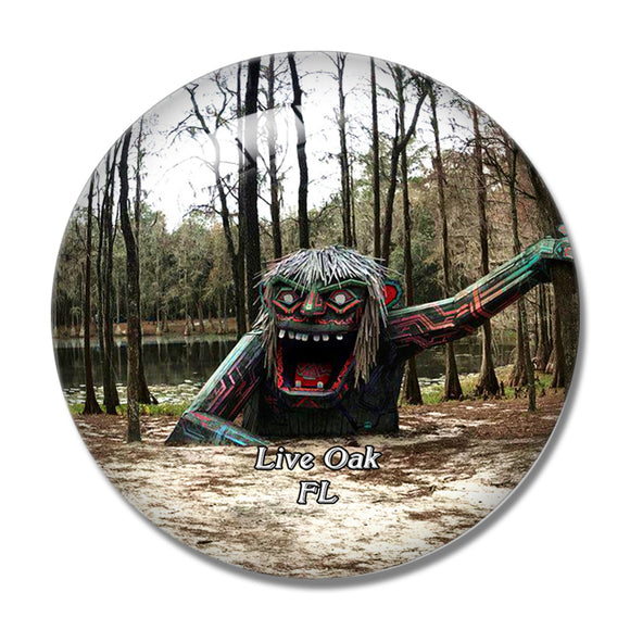 Live Oak Park Florida USA 3D Fridge Magnet Crystal Glass