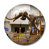 Mammoth Site of Hot Springs South Dakota USA 3D Fridge Magnet Crystal Glass