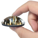 Marianna Florida Caverns State Park Florida USA 3D Fridge Magnet Crystal Glass