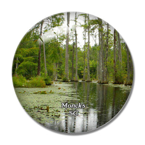 Moncks Corner Cypress Gardens South Carolina USA 3D Fridge Magnet Crystal Glass