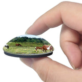 Mouth of Wilson Park Virginia USA 3D Fridge Magnet Crystal Glass