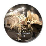 New Bedford Whaling Museum Massachusetts USA 3D Fridge Magnet Crystal Glass