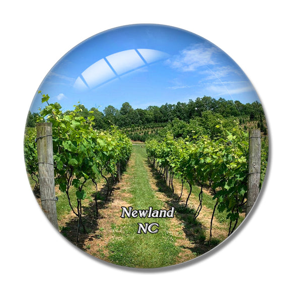 Newland Linville Falls Winery North Carolina USA 3D Fridge Magnet Crystal Glass