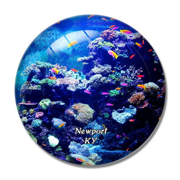 Newport Aquarium Kentucky USA 3D Fridge Magnet Crystal Glass