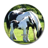 Ocala Gypsy Horses Florida USA 3D Fridge Magnet Crystal Glass