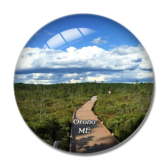 Orono Bog Boardwalk Maine USA 3D Fridge Magnet Crystal Glass
