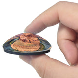Page Horseshoe Bend Arizona USA 3D Fridge Magnet Crystal Glass