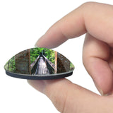 Palatka Park Florida USA 3D Fridge Magnet Crystal Glass