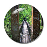 Palatka Park Florida USA 3D Fridge Magnet Crystal Glass