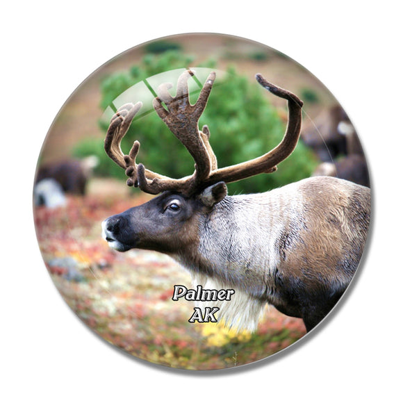 Palmer Reindeer Farm Alaska USA 3D Fridge Magnet Crystal Glass