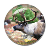 Palmer Reindeer Farm Alaska USA 3D Fridge Magnet Crystal Glass