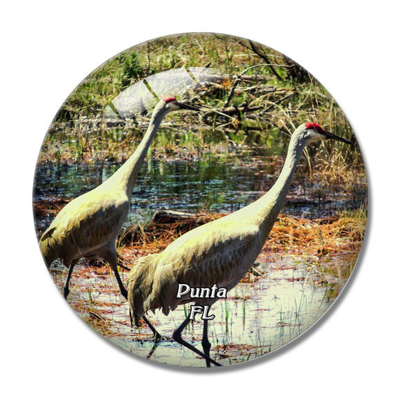 Punta Gorda Red Heron Florida USA 3D Fridge Magnet Crystal Glass